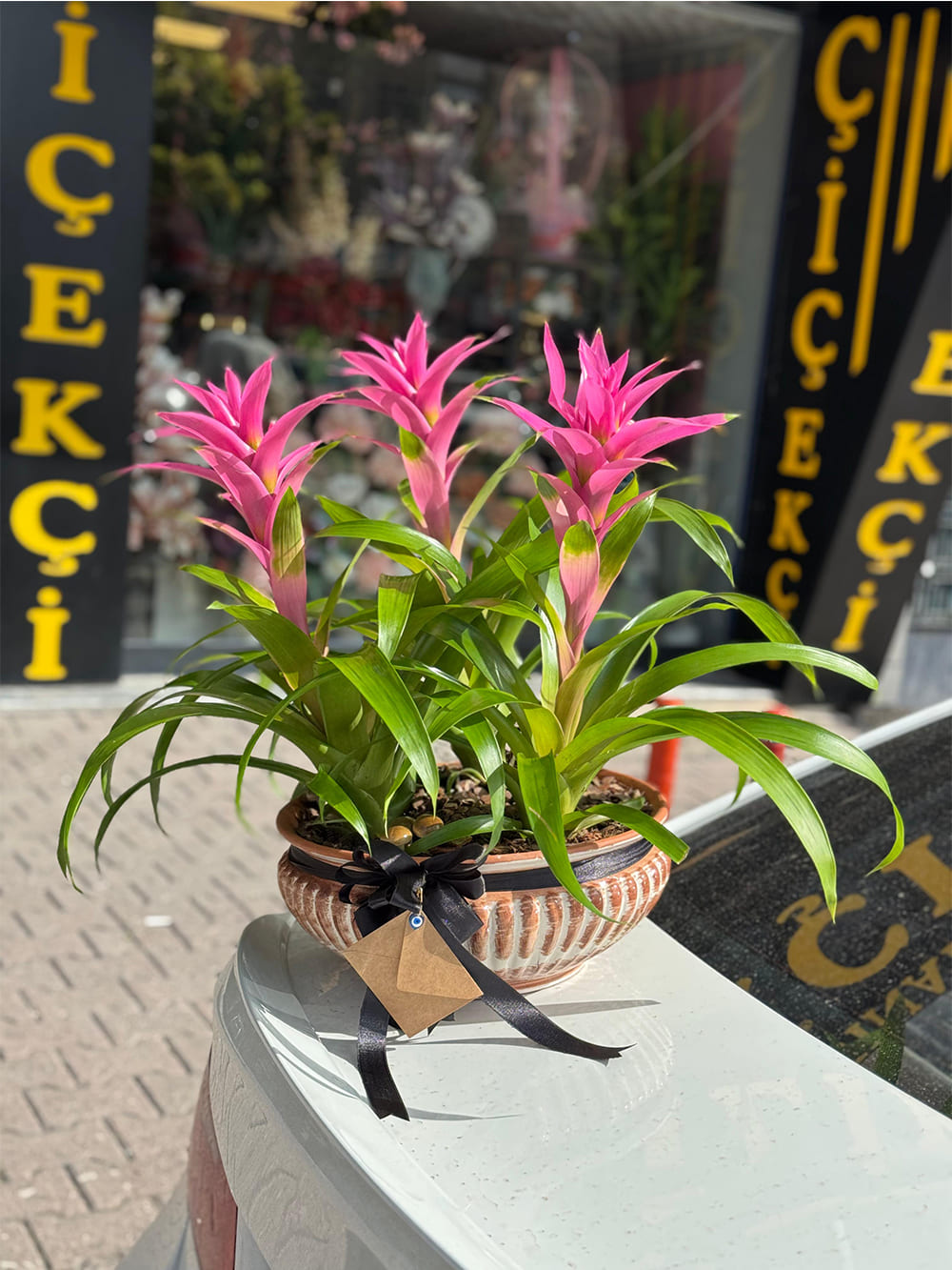 _0085_img-20250507-wa0125-1-jpg