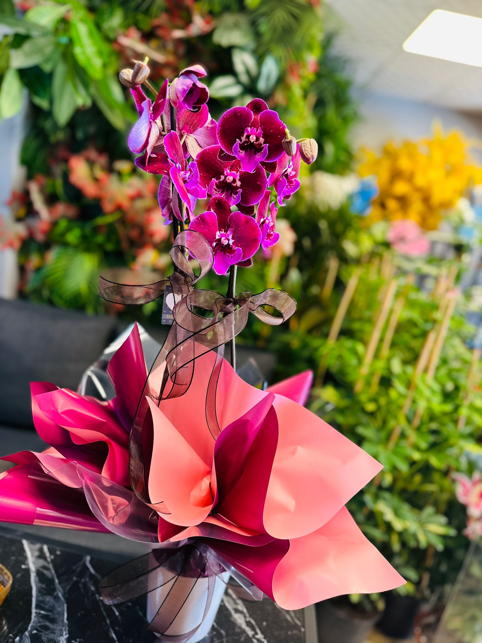 img-20251104-wa0012-jpg