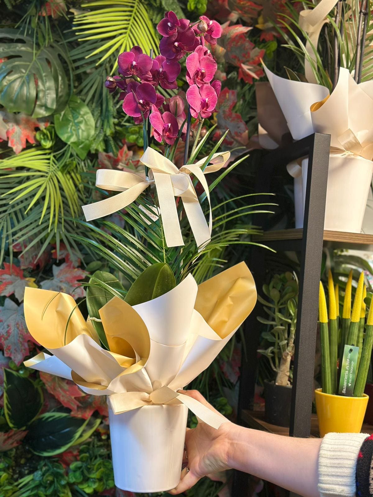 whatsapp-image-2026-04-09-at-11-40-43-5-jpeg