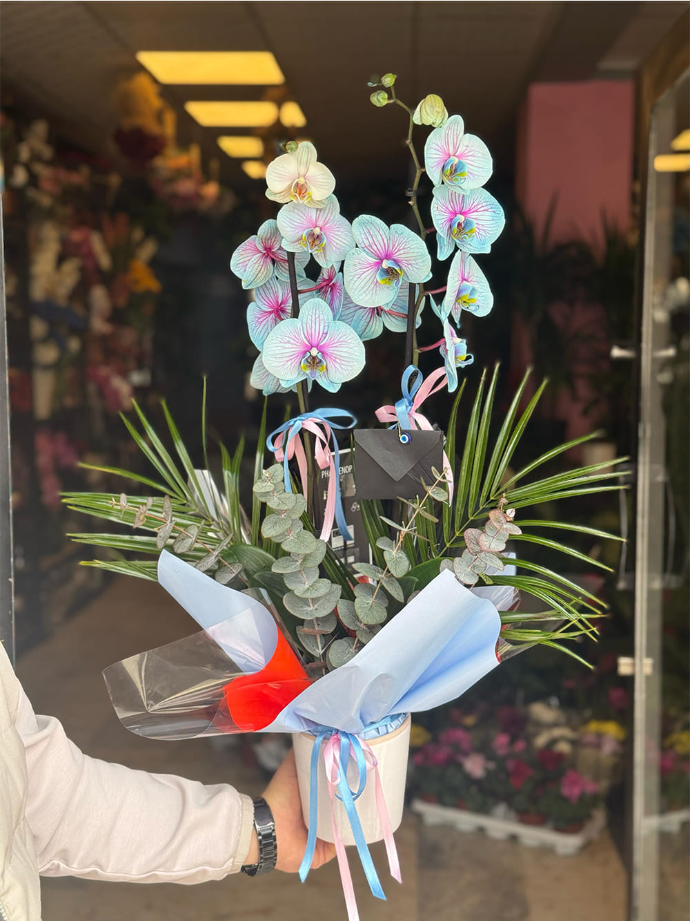 _0176_img-20250507-wa0019-min-jpg