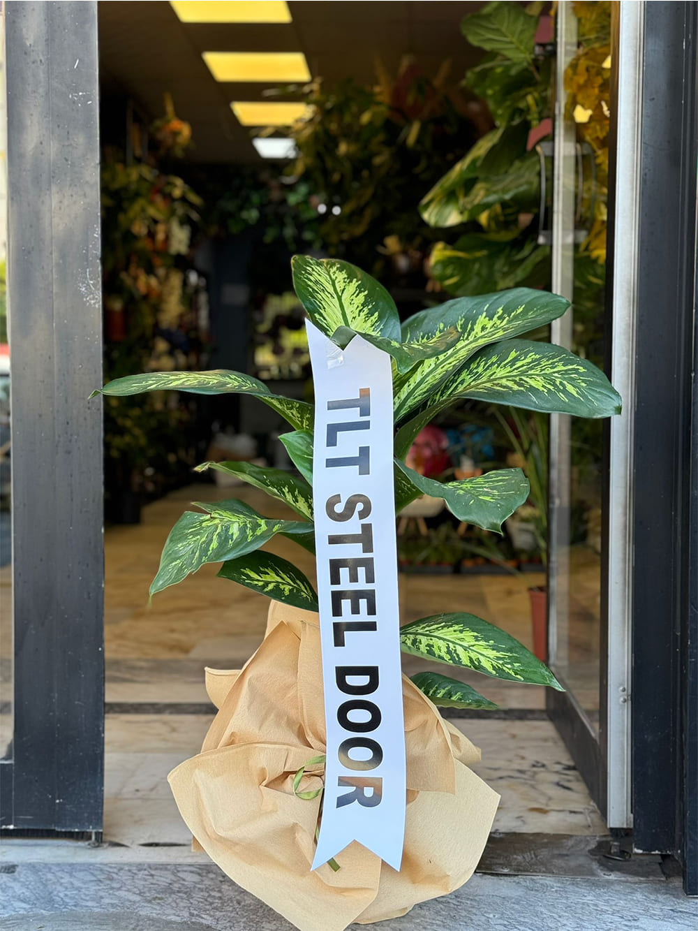 _0074_img-20250507-wa0137-jpg