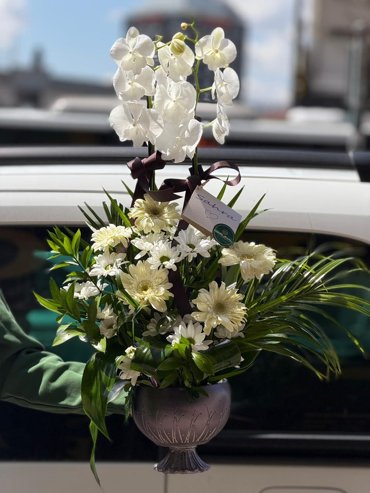 whatsapp-image-2026-04-09-at-11-40-42-2-jpeg