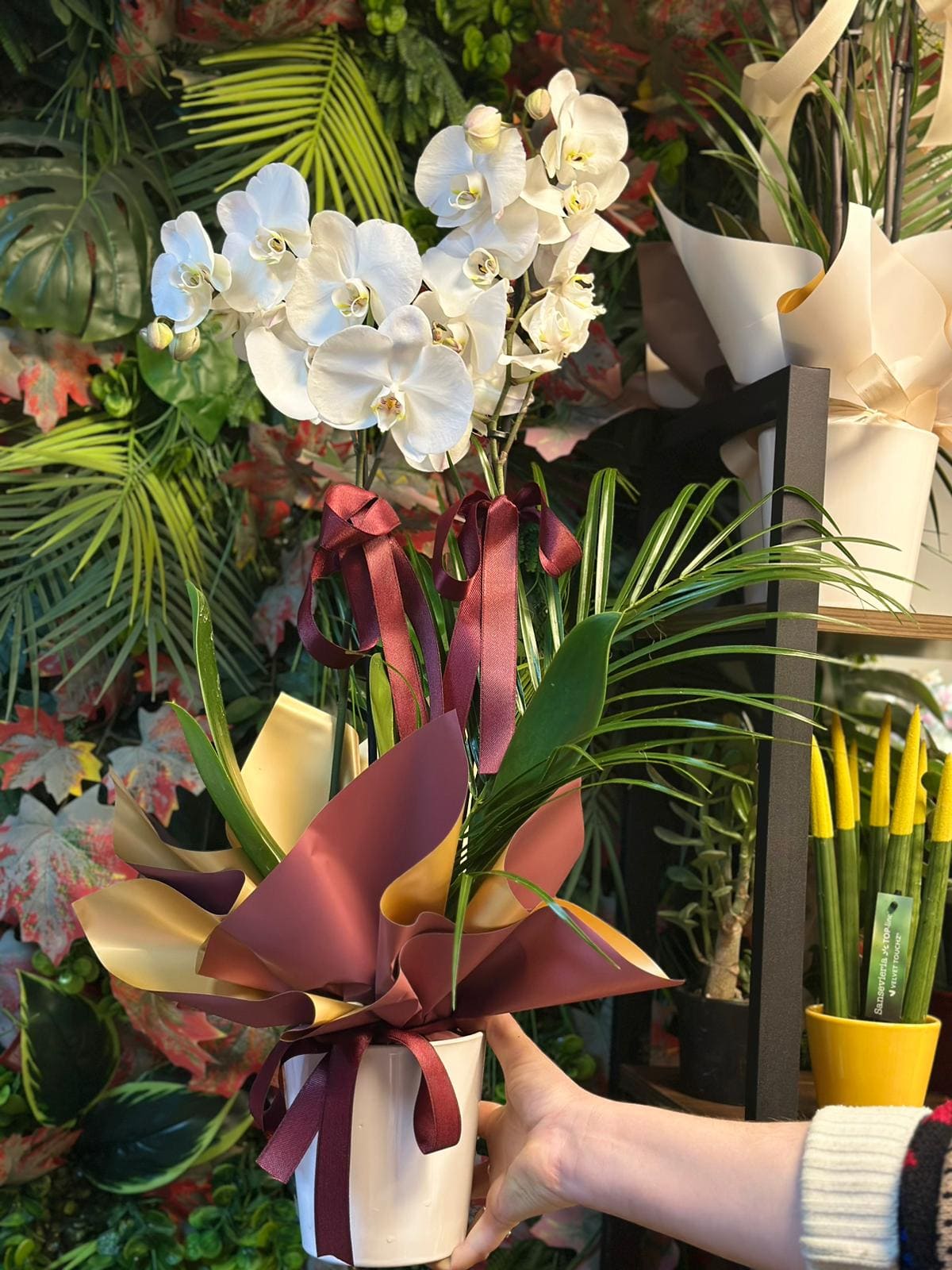 whatsapp-image-2026-04-09-at-11-40-43-4-jpeg