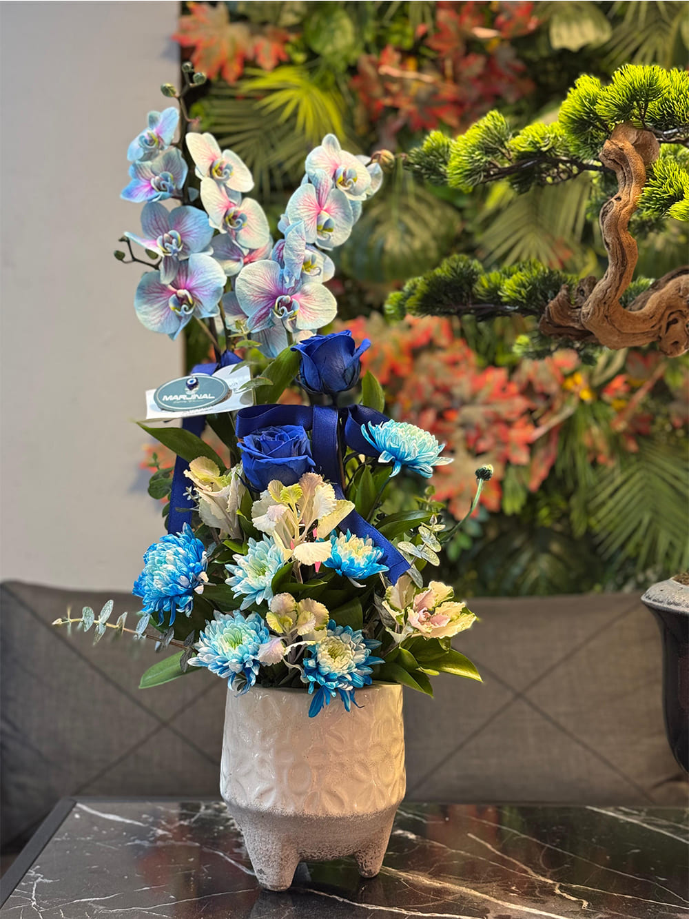 _0169_img-20250507-wa0027-min-jpg