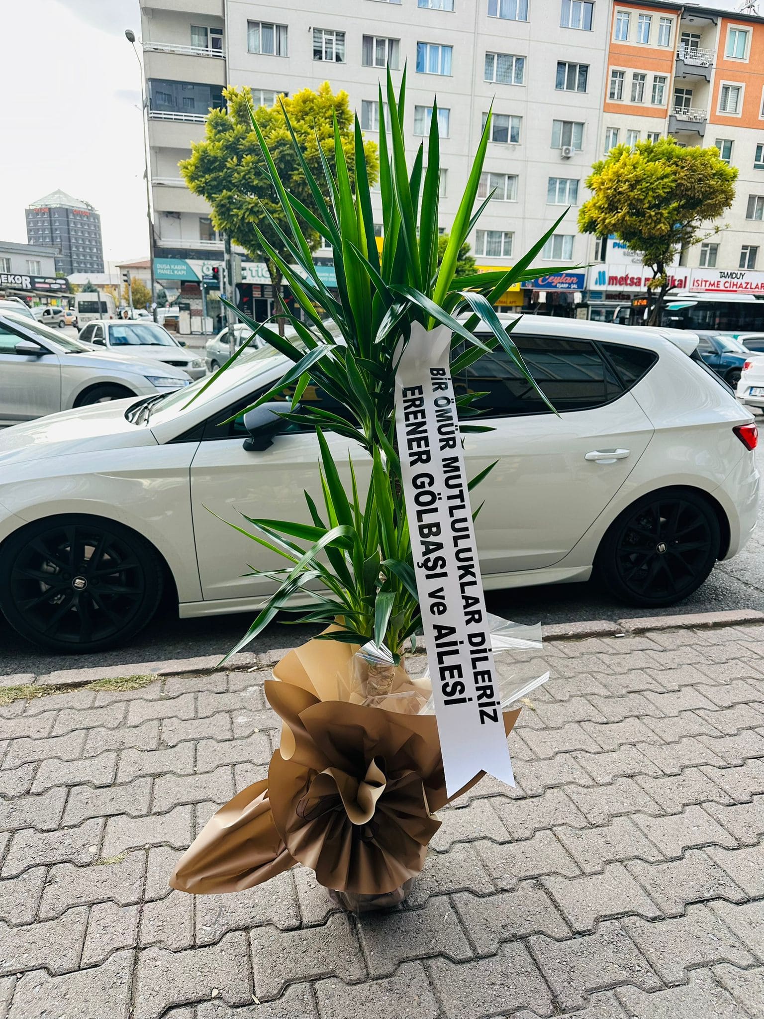 img-20251104-wa0015-jpg