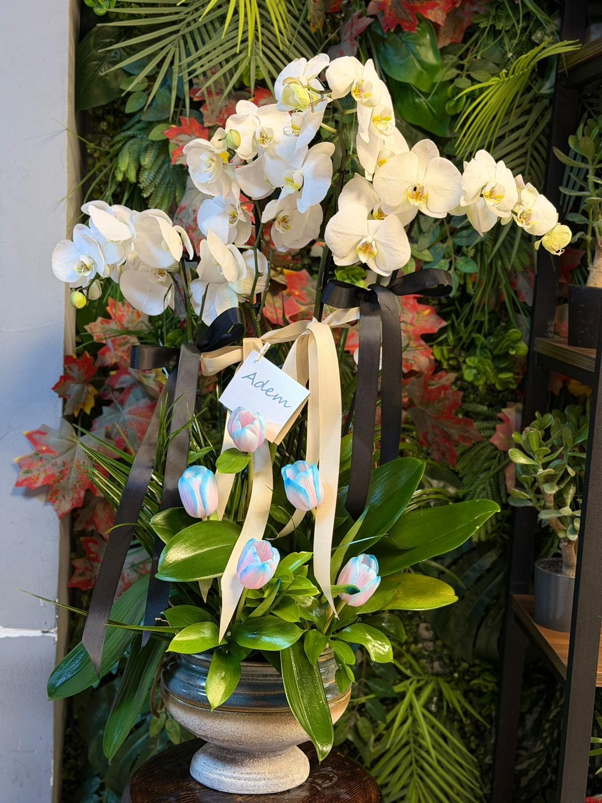 whatsapp-image-2026-04-09-at-11-40-42-5-jpeg