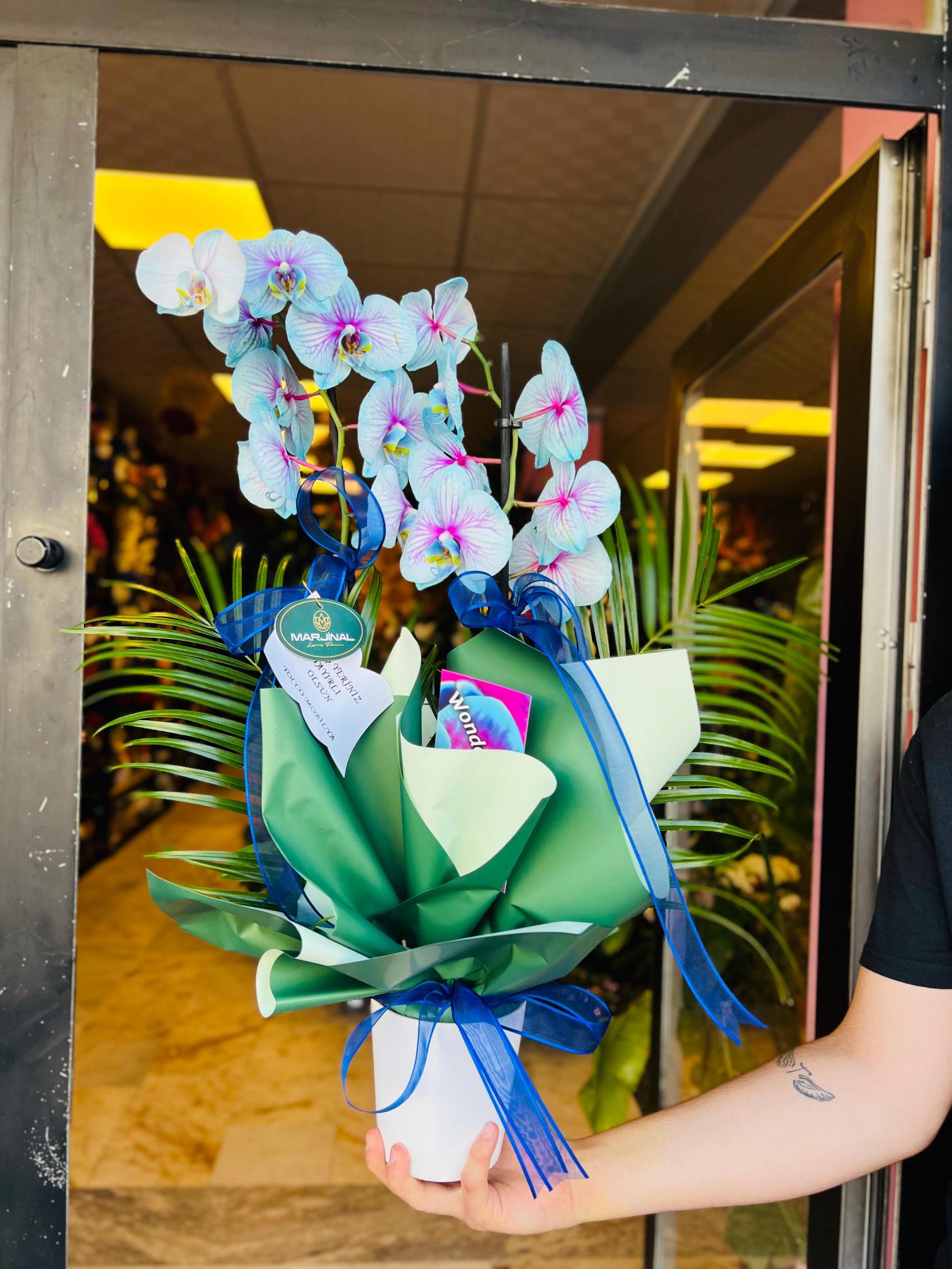 img-20250820-wa0049-jpg