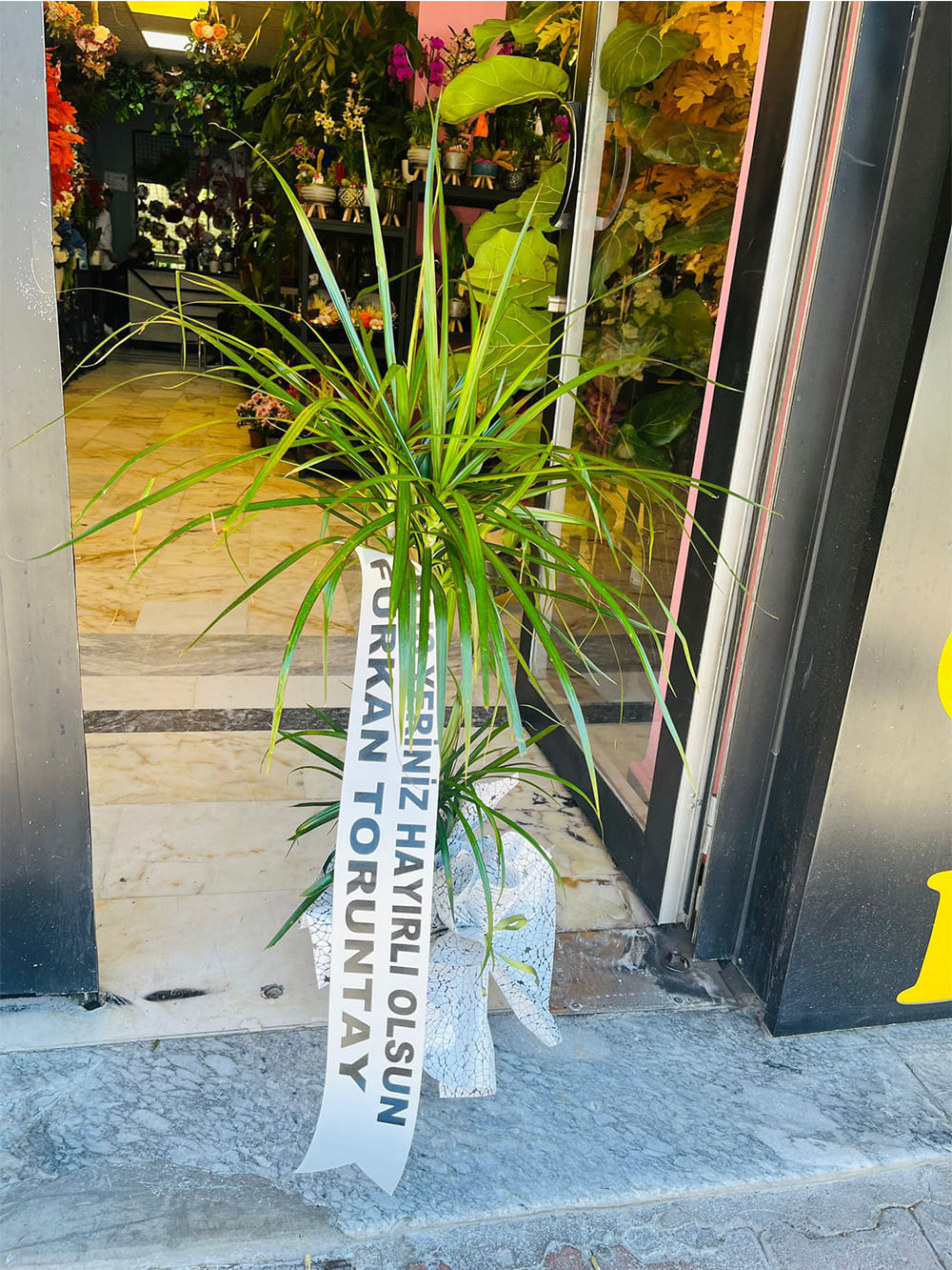 _0067_img-20250507-wa0144-jpg