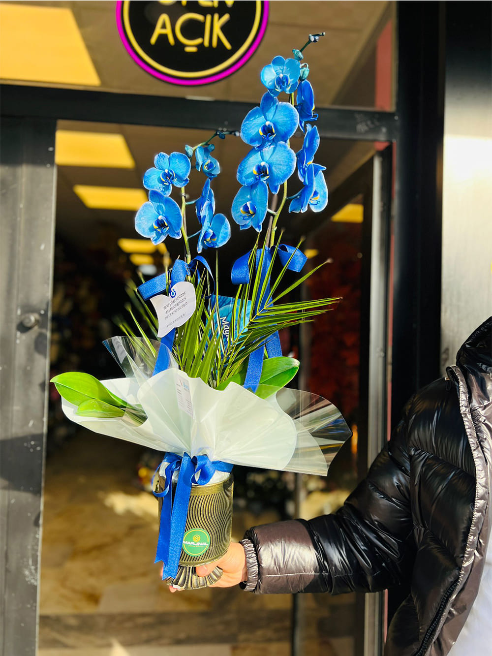 _0133_img-20250507-wa0072-jpg