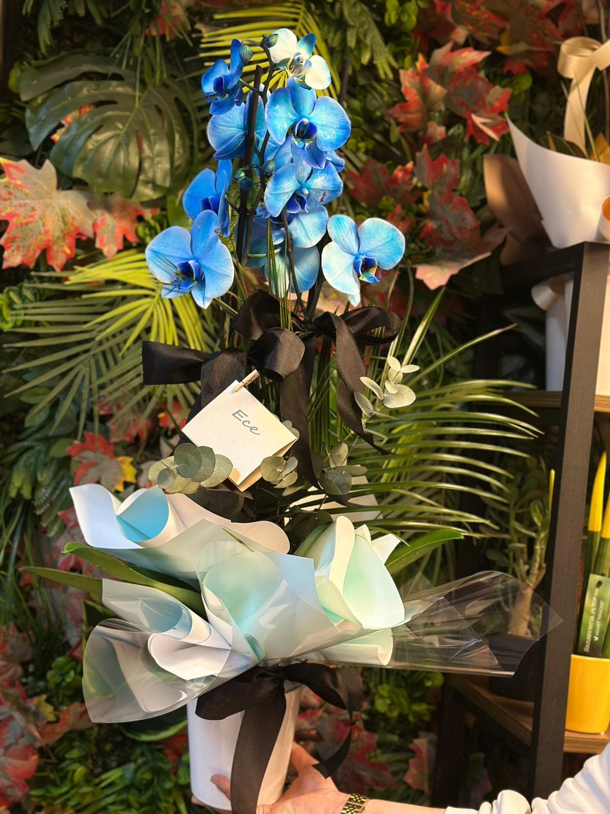 whatsapp-image-2026-04-09-at-11-40-43-2-jpeg