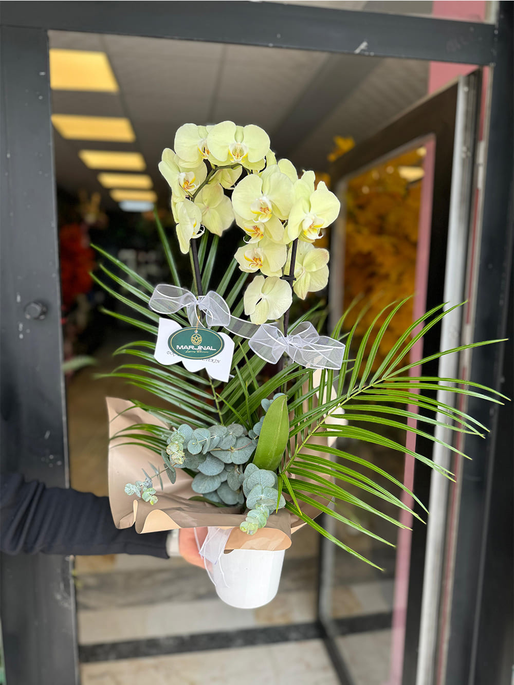 _0013_img-20250507-wa0217-jpg