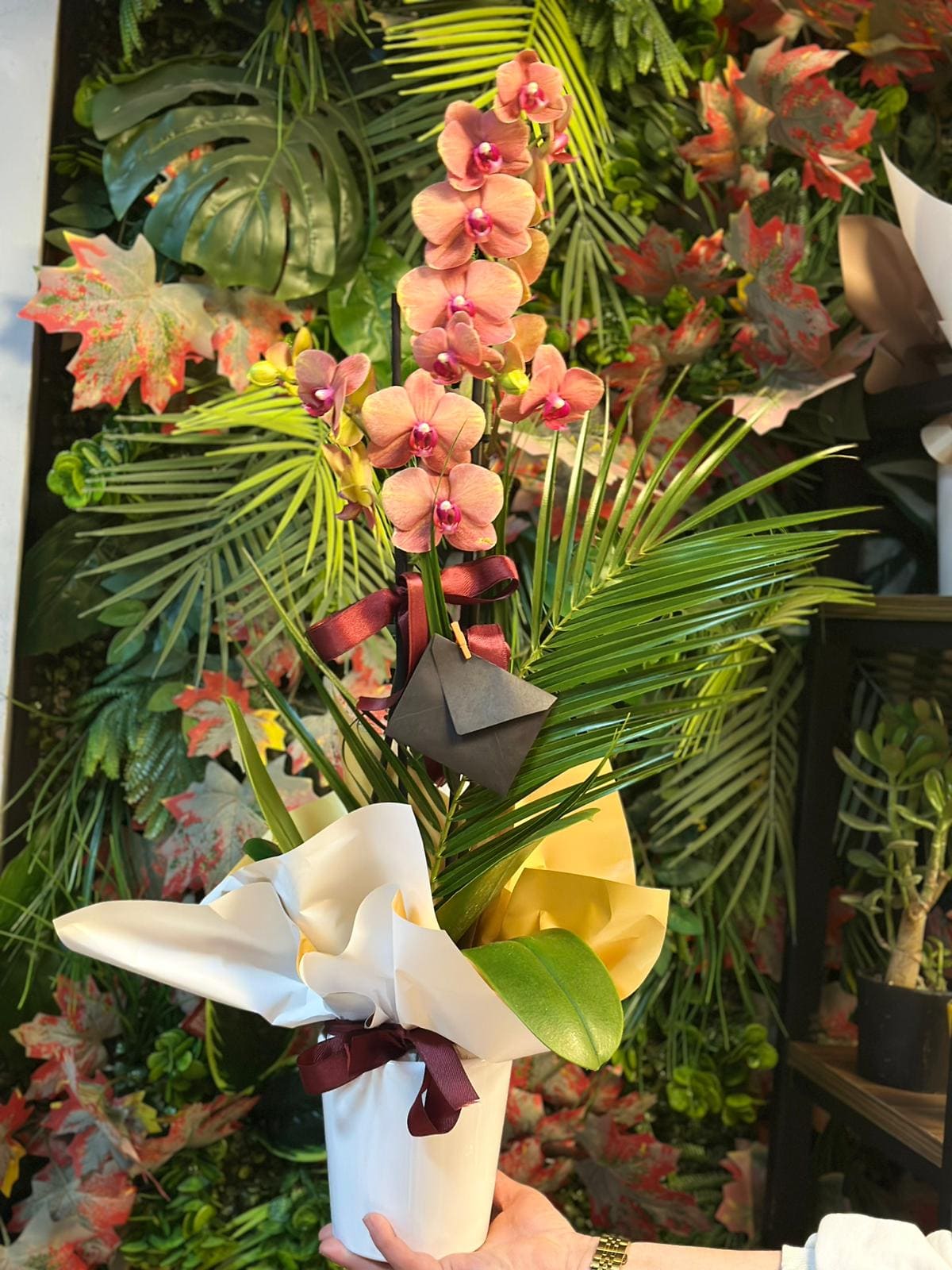 whatsapp-image-2026-04-09-at-11-40-43-3-jpeg