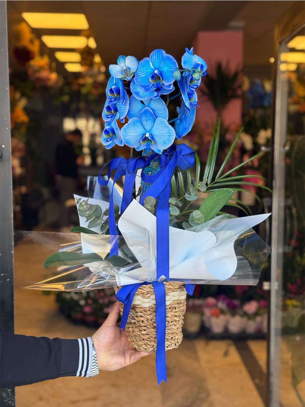 _0178_img-20250507-wa0016-min-jpg