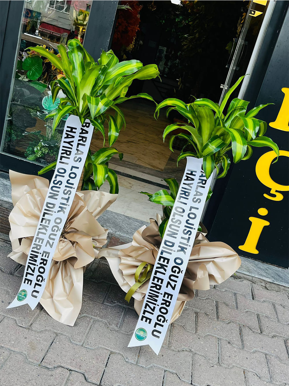 _0071_img-20250507-wa0140-jpg