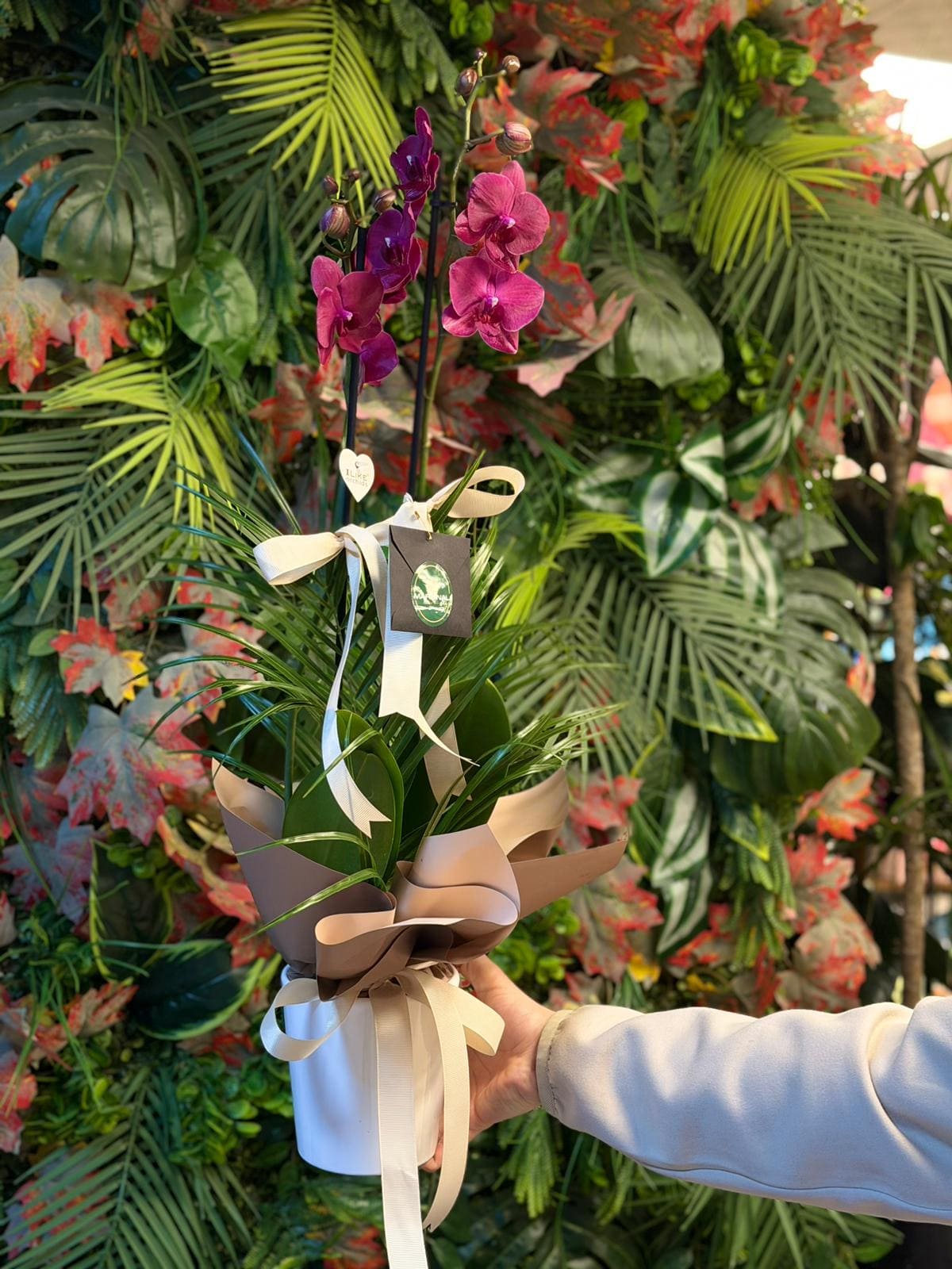 whatsapp-image-2026-04-09-at-11-40-42-3-jpeg