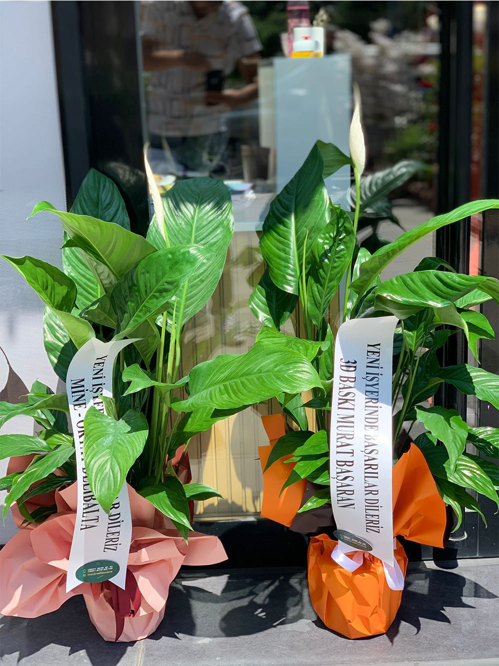 _0069_img-20250507-wa0142-jpg