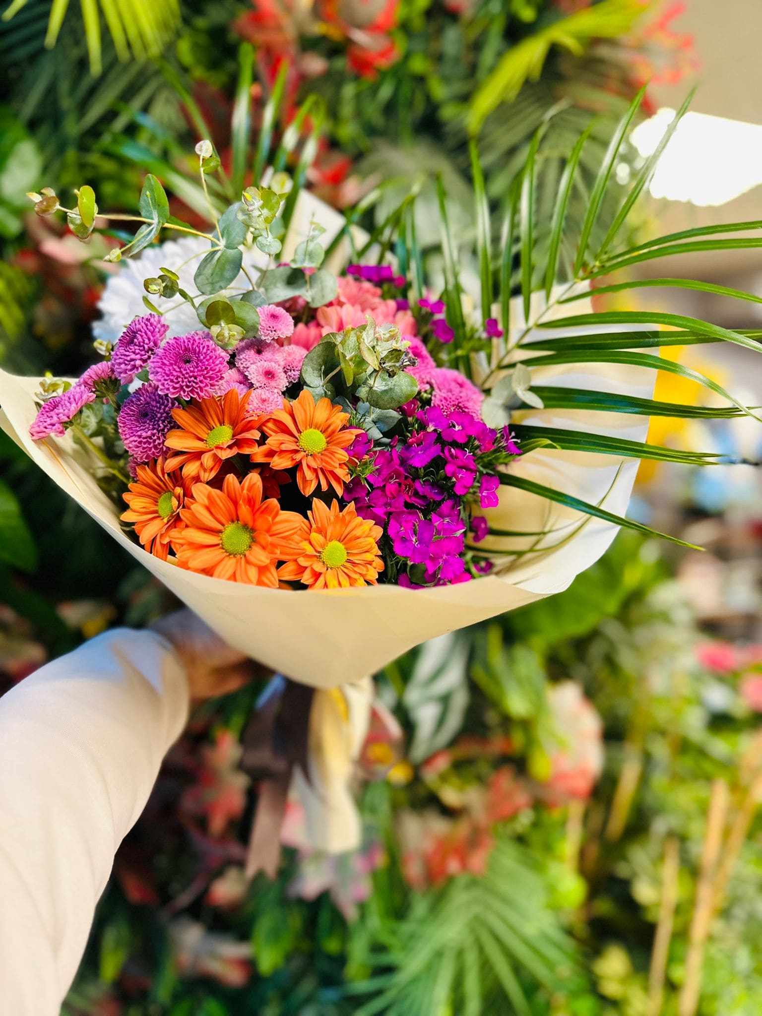 img-20251104-wa0006-jpg