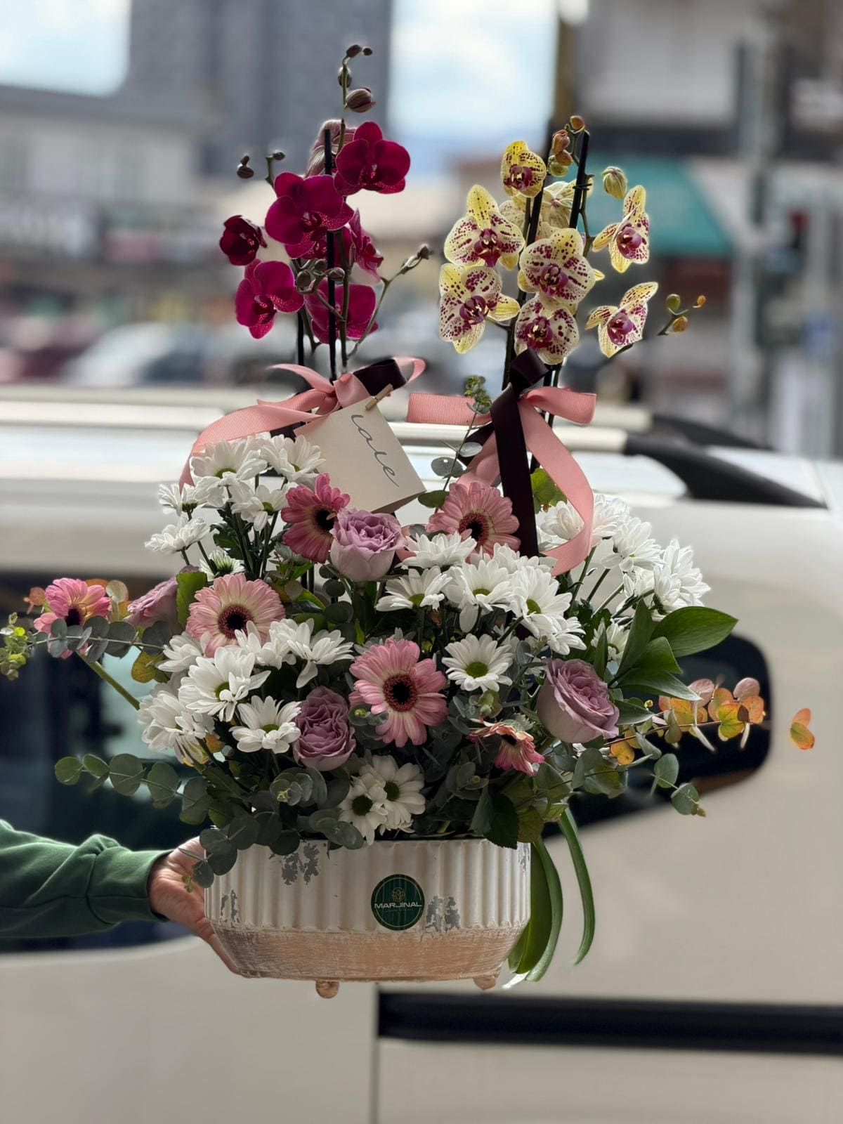 whatsapp-image-2026-04-09-at-11-40-42-jpeg