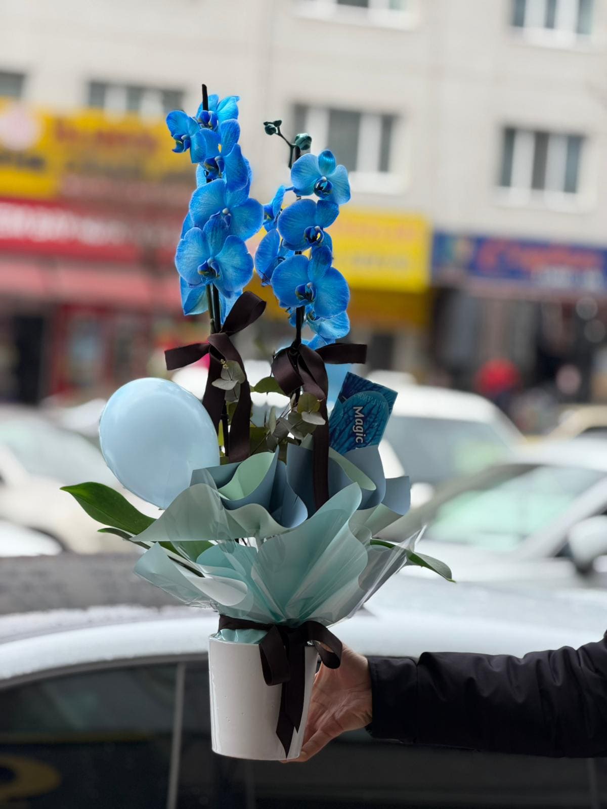 whatsapp-image-2026-04-09-at-11-40-42-4-jpeg