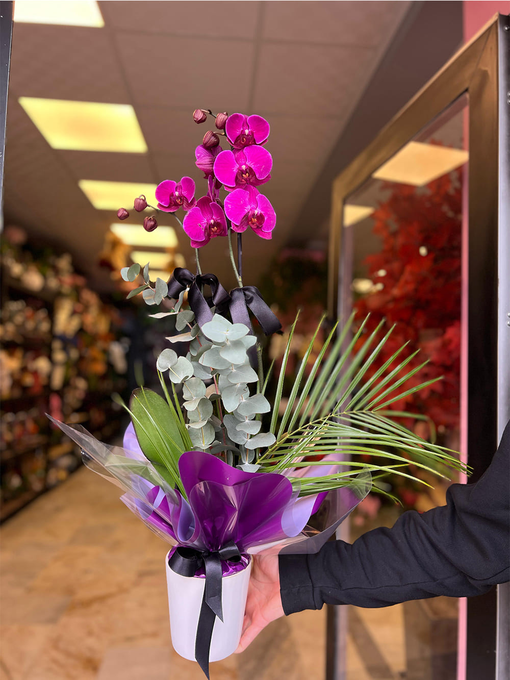 _0103_img-20250507-wa0103-jpg