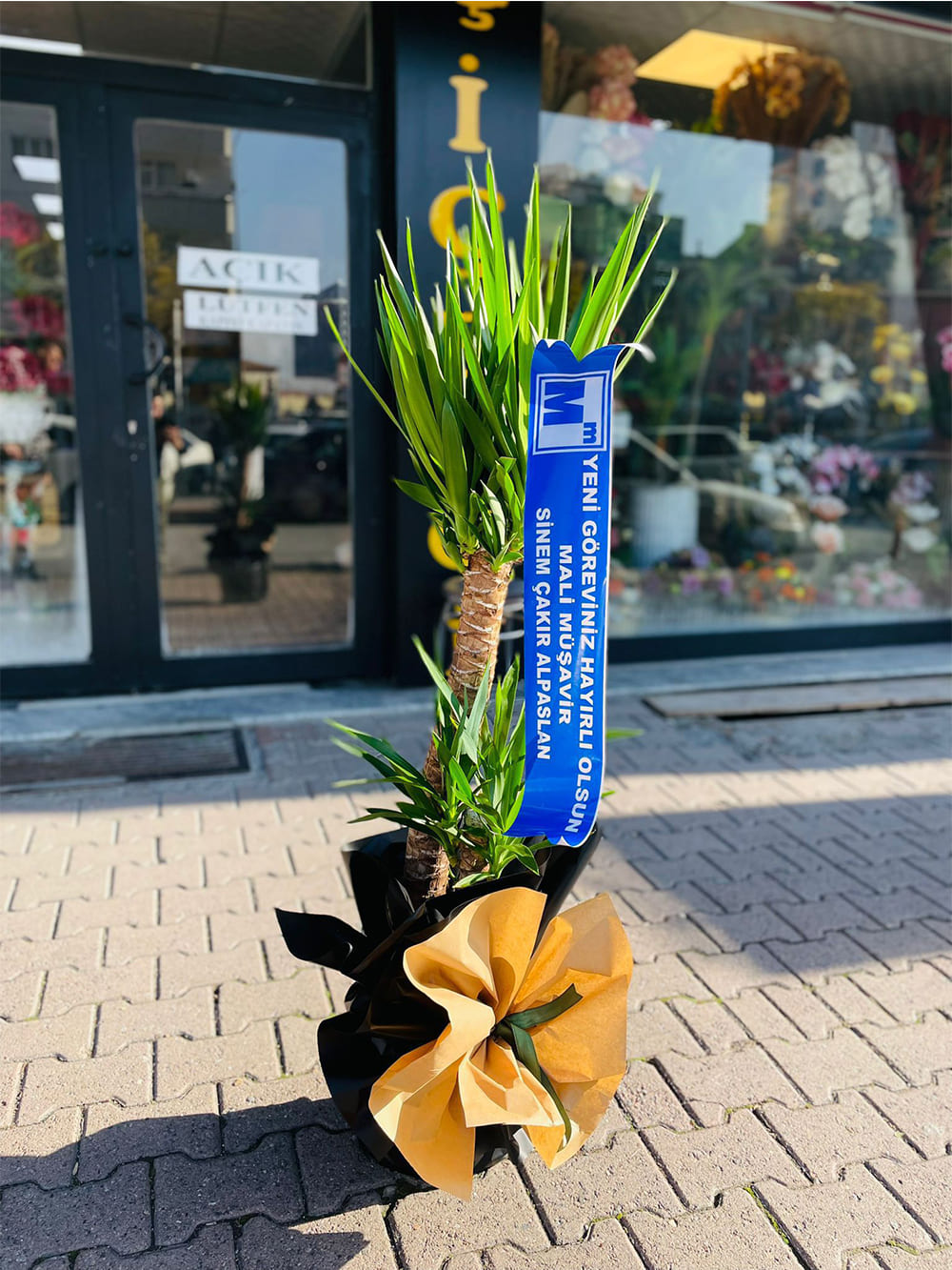 _0068_img-20250507-wa0143-jpg