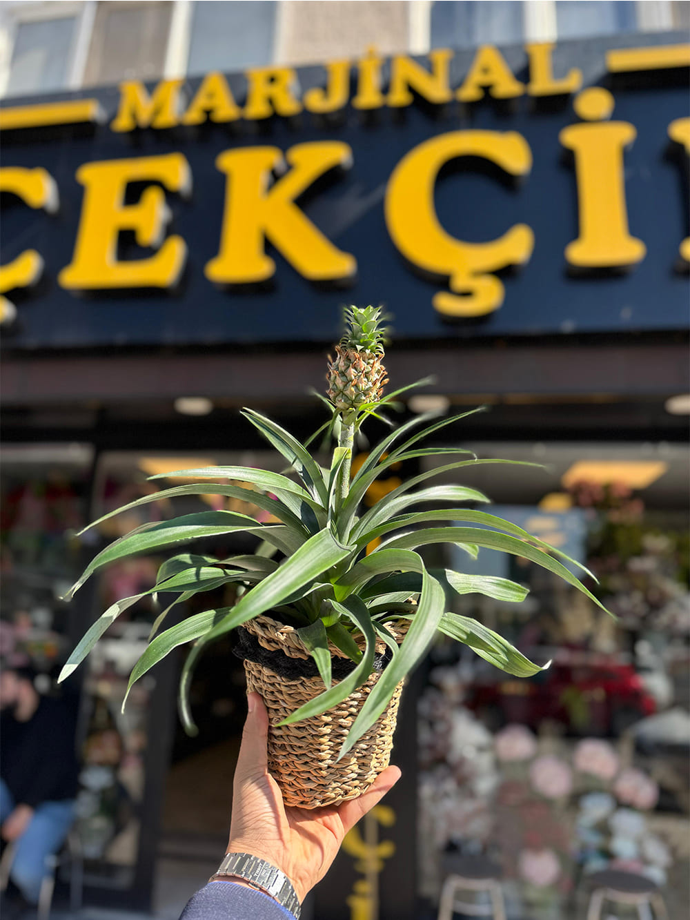 _0084_img-20250507-wa0126-jpg